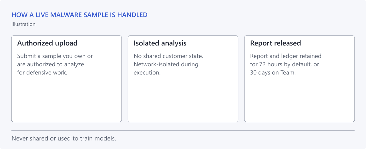 A live malware sample moves through three steps: an authorized upload, analysis in an isolated service that is network-isolated during execution, and a released report retained for 72 hours by default or 30 days on Team. The sample is never shared between customers or used to train models.